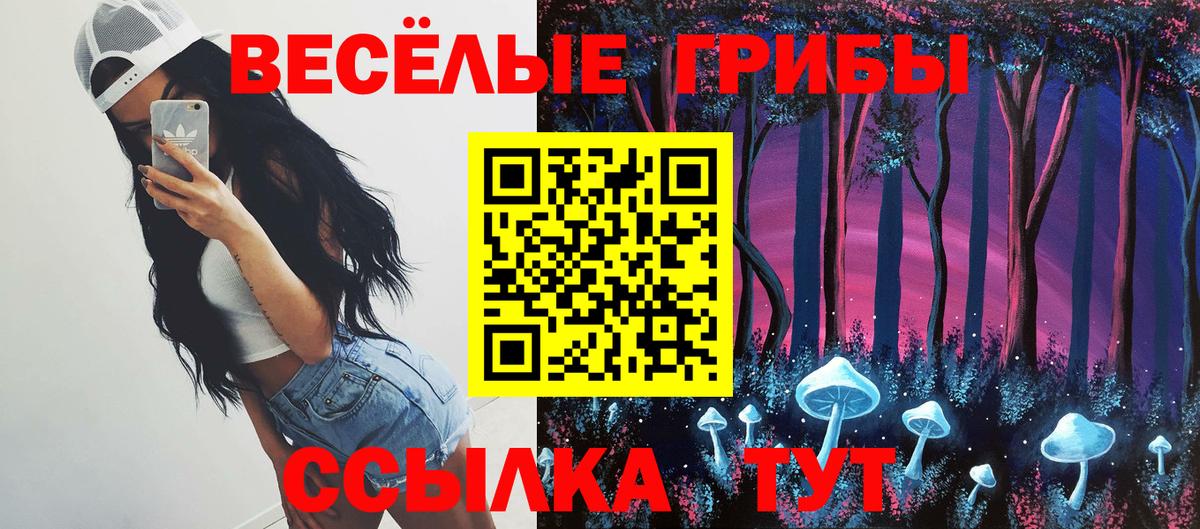 Галлюциногенные грибы Cubensis Фролово
